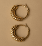Ripple Design Earings - 24k Gold Plated Earing | The Jewellery Vault